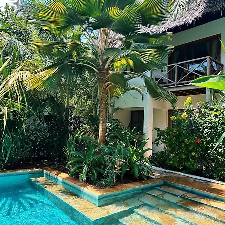 Maisha Nungwi - Boutique Hotel-3